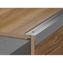 Treppenkante G32 SILBER 25X20/186CM
