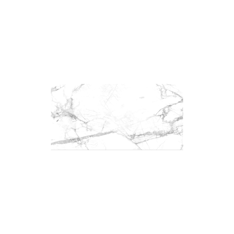 Seinapaneelid SPC 120x60 CALACATTA SNOW (4 tk)