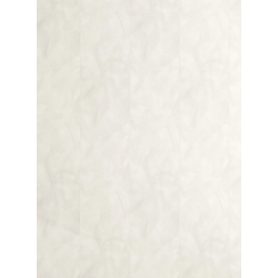 copy of Decorative wall panels ECOLINE 25cm x 265cm WHITE GLASS