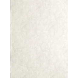 copy of Decorative wall panels ECOLINE 25cm x 265cm WHITE GLASS