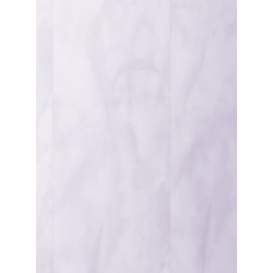 copy of Panele dekoracyjne ścienne ECOLINE 25cm x 265cm BIAŁY POŁYSK