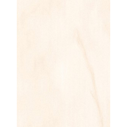 copy of Panele dekoracyjne ścienne ECOLINE 25cm x 265cm BIAŁY POŁYSK