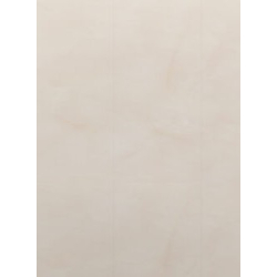 copy of Panele dekoracyjne ścienne ECOLINE 25cm x 265cm BIAŁY POŁYSK