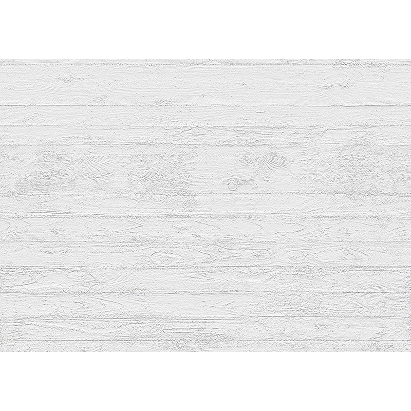 VILO | Panouri decorative pentru perete Motivo WHITEWASH WOOD