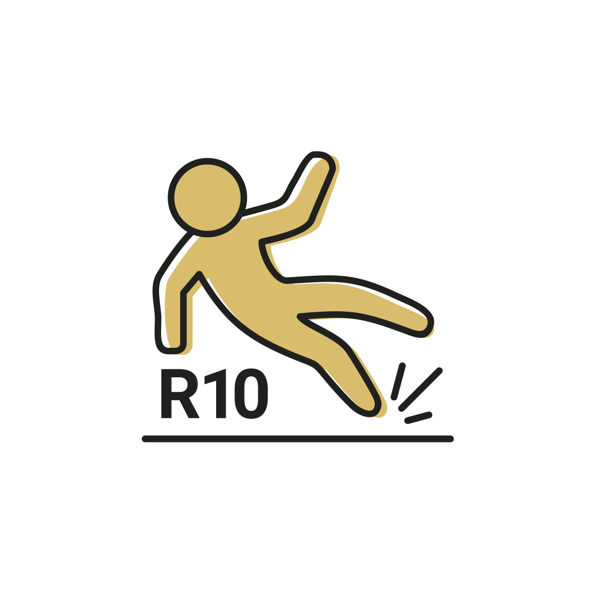 ikona_R10.png